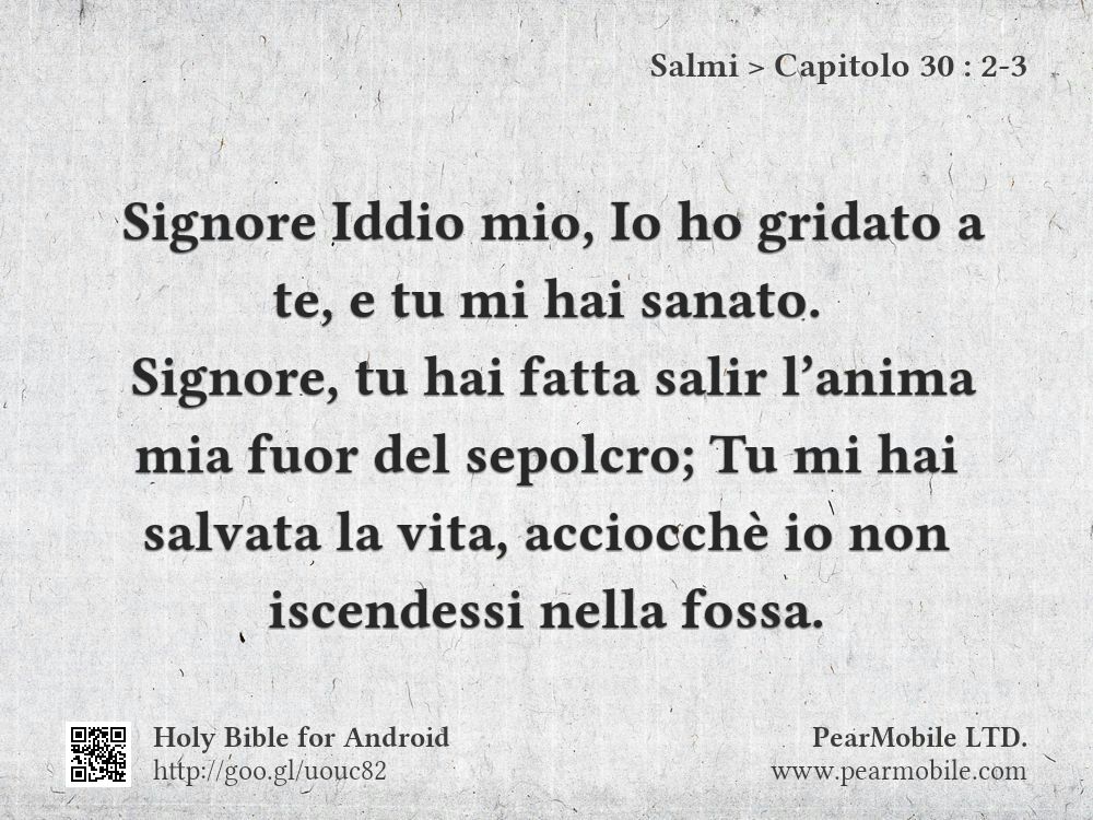 Salmi, Capitolo 30:2-3